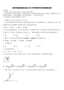 普洱市西盟佤族自治縣2025年中考數學對點突破模擬試卷含解析