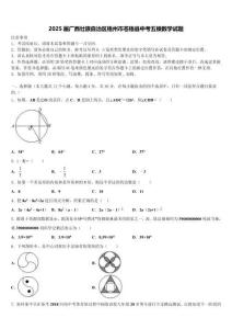 2025屆廣西壯族自治區梧州市蒼梧縣中考五模數學試題含解析