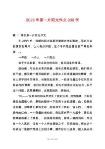 2025年那一片陽(yáng)光作文900字
