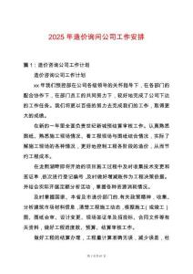 2025年造價詢問公司工作安排