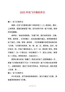 2025年玩飛行棋的作文