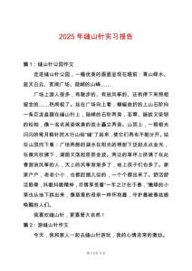 2025年縫山針實(shí)習(xí)報(bào)告