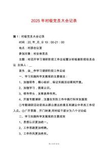 2025年村級黨員大會記錄