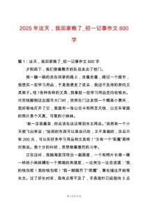 2025年這天，我回家晚了_初一記事作文800字