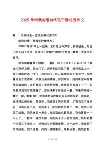 2025年給我的愛始終很寧靜優(yōu)秀作文