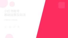 互聯(lián)網(wǎng)平臺(tái)種草平臺(tái)小紅書(shū)運(yùn)營(yíng)方案和策略【小紅書(shū)賬號(hào)運(yùn)營(yíng)】