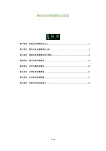 新型社會保障模式探索-洞察及研究