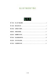 線上線下融合推廣模式-洞察及研究