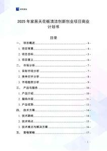 2025年家居天花板清潔創(chuàng)新創(chuàng)業(yè)項目商業(yè)計劃書