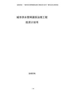 城市供水管網漏損治理工程投資計劃書