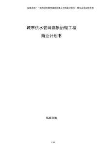 城市供水管網漏損治理工程商業計劃書