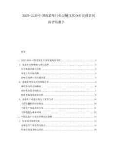 2025-2030中國改裝車行業(yè)發(fā)展現(xiàn)狀分析及投資風(fēng)險評估報告