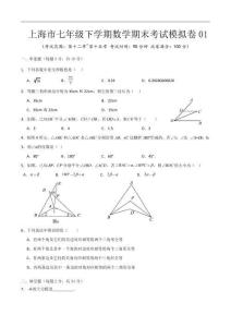 上海市七年級(jí)下學(xué)期數(shù)學(xué)期末考試模擬卷01（原卷版）