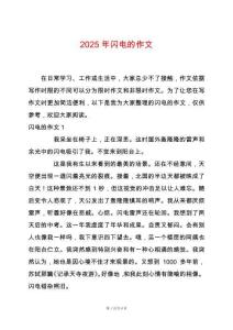 2025年閃電的作文