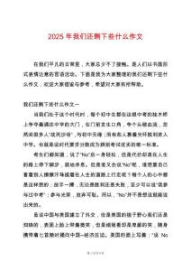 2025年我們還剩下些什么作文