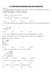 2025屆貴州省黔南布依族苗族自治州獨山縣中考聯考數學試卷含解析