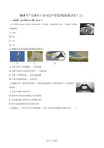 2025年廣西來賓市象州縣中考物理適應(yīng)性試卷（三）-自定義類型（含解析）