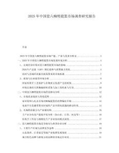 2025年中國(guó)套六柳劈提籃市場(chǎng)調(diào)查研究報(bào)告