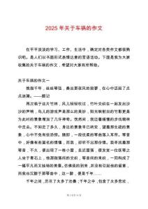 2025年關于車禍的作文
