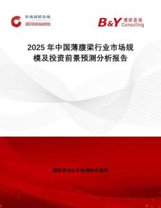 2025年中國薄腹梁行業(yè)市場規(guī)模及投資前景預測分析報告