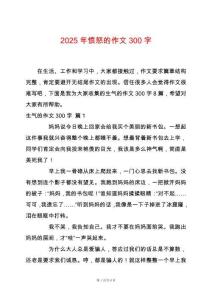 2025年憤怒的作文300字