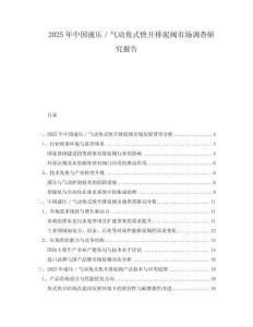 2025年中國液壓／氣動角式快開排泥閥市場調(diào)查研究報告