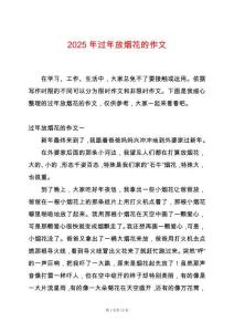 2025年過年放煙花的作文