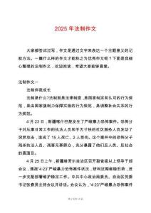 2025年法制作文