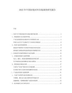 2025年中國(guó)拉線襯環(huán)市場(chǎng)調(diào)查研究報(bào)告