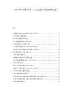 2025年中國(guó)阻旋式料位傳感器市場(chǎng)調(diào)查研究報(bào)告