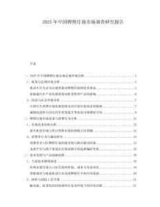 2025年中國牌照燈泡市場調查研究報告