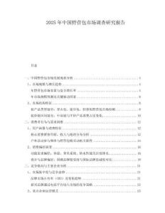 2025年中國野營包市場調(diào)查研究報告