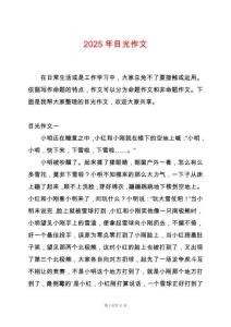 2025年目光作文