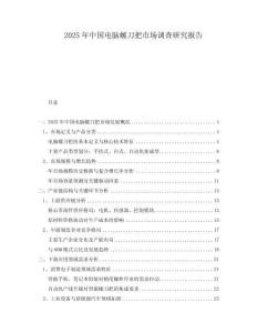 2025年中國電腦螺刀把市場調(diào)查研究報告