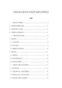 少林武術(shù)文化傳承中的武學(xué)內(nèi)涵與價(jià)值探討