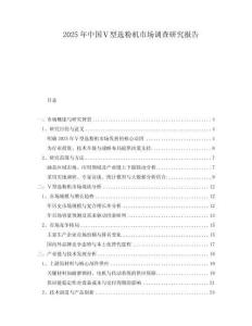2025年中國Ⅴ型選粉機市場調查研究報告