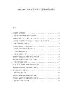 2025年中國熱鍍鋅螺母市場(chǎng)調(diào)查研究報(bào)告