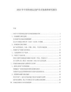 2025年中國(guó)壘球運(yùn)動(dòng)護(hù)具市場(chǎng)調(diào)查研究報(bào)告