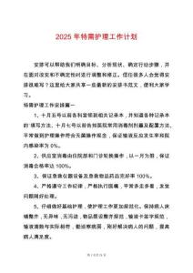 2025年特需護理工作計劃