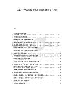 2025年中國(guó)乳膠發(fā)泡鞋墊市場(chǎng)調(diào)查研究報(bào)告