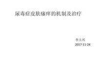 尿毒癥皮膚瘙癢的機制及治療