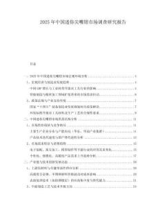 2025年中國迷你尖嘴鉗市場調查研究報告
