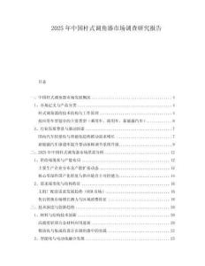2025年中國桿式調角器市場調查研究報告