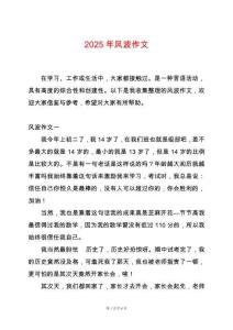2025年風(fēng)波作文