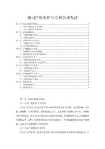 知識產權保護與專利管理辦法