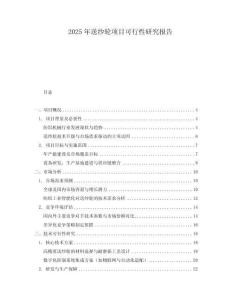 2025年送紗輪項目可行性研究報告