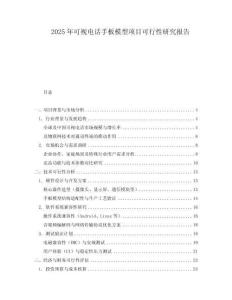 2025年可視電話手板模型項目可行性研究報告