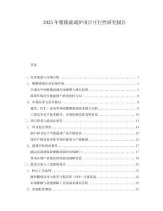 2025年鍍膜玻璃爐項(xiàng)目可行性研究報(bào)告