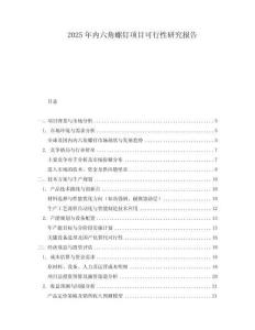 2025年內(nèi)六角螺釘項(xiàng)目可行性研究報(bào)告