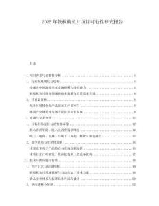 2025年鐵板魷魚片項目可行性研究報告